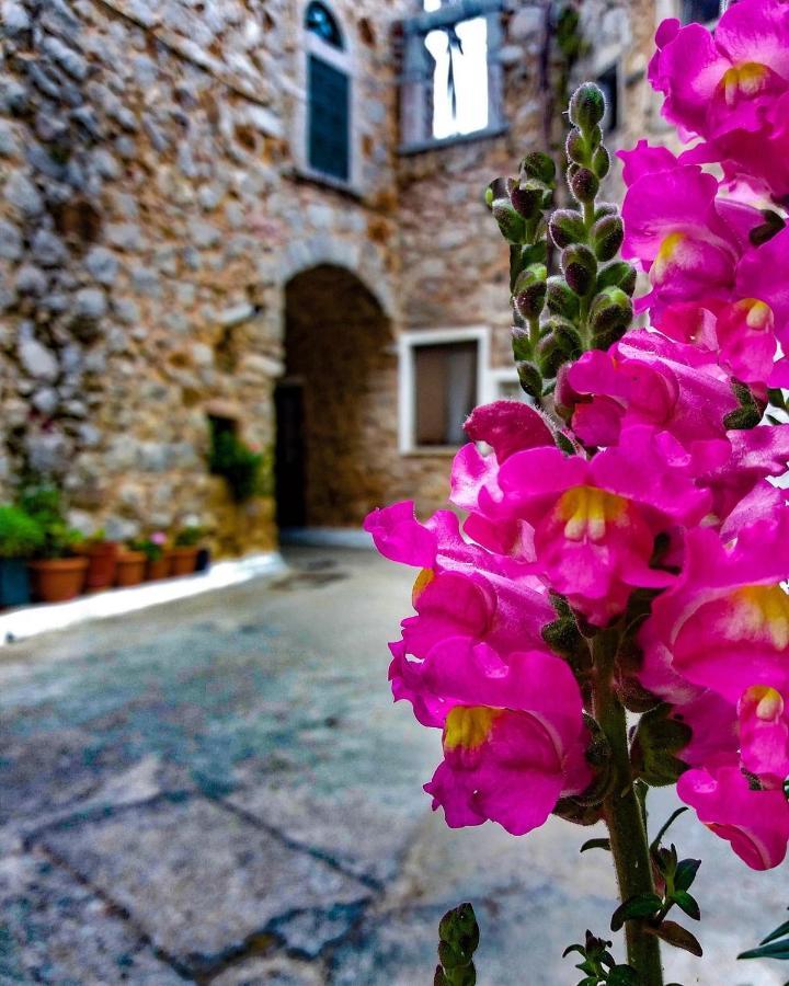 Chios Mantalenas Apartments Véssa Exteriér fotografie