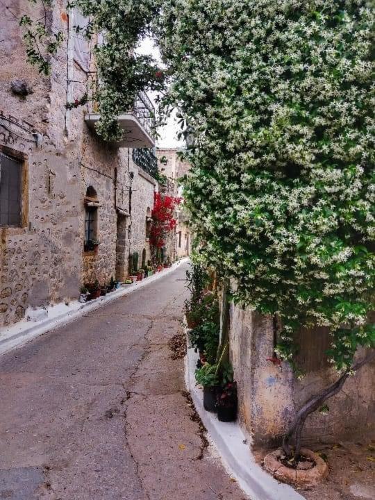 Chios Mantalenas Apartments Véssa Exteriér fotografie